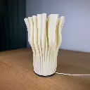 ZOAN LAMP 3 1080.webp