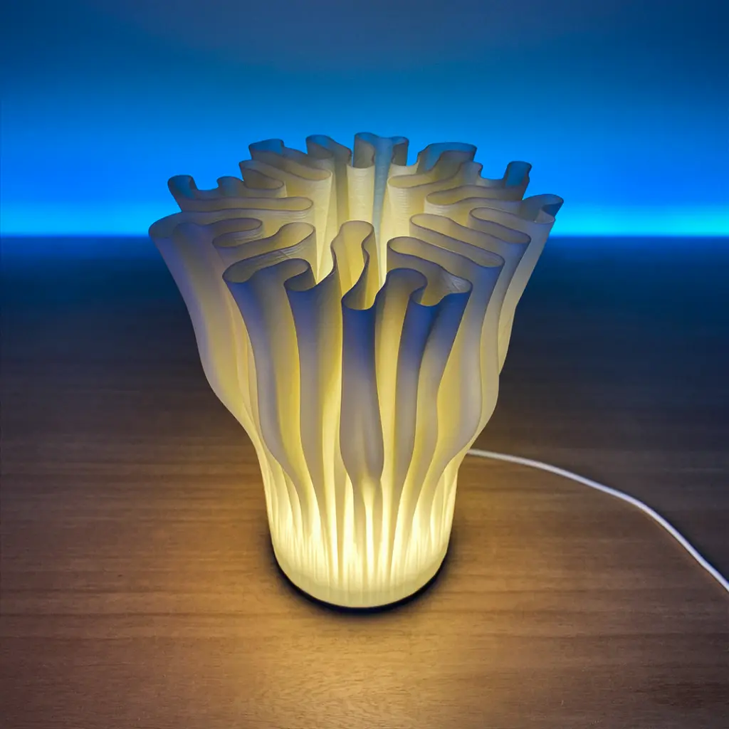 ZOAN LAMP 9 1080.webp