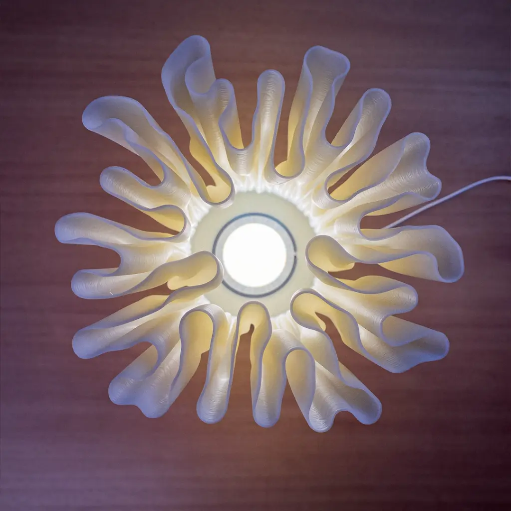 ZOAN LAMP 7 1080.webp
